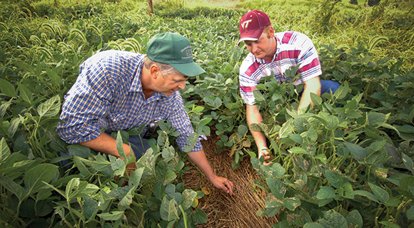 no-till agriculture