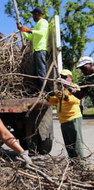 In the aftermath of Hurricane Maria, efforts to rebuild Puerto Rico’s electrical system offer lessons for boosting energy security
