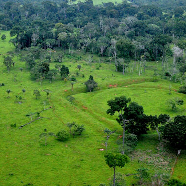 Ancient Amazonian societies managed the forest intensively but sustainably — here’s what we can learn from them