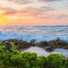 What will it cost to save Earth’s oceans?