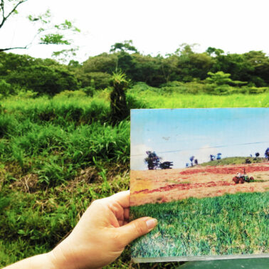 Resource-rich countries find it pays to pay landholders to protect their land