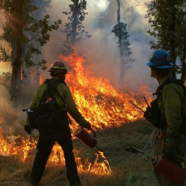 What happens when U.S. insurers stop covering prescribed burns?